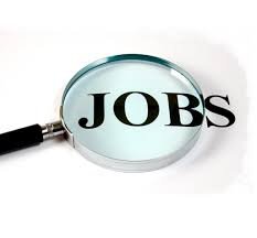 Kotak Mahindra Jobs Vacancy