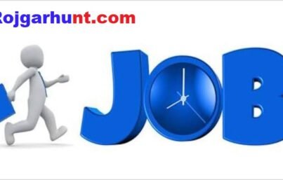 Fresher Jobs Delhi 11782 Job Vacancies & Openings for Freshers