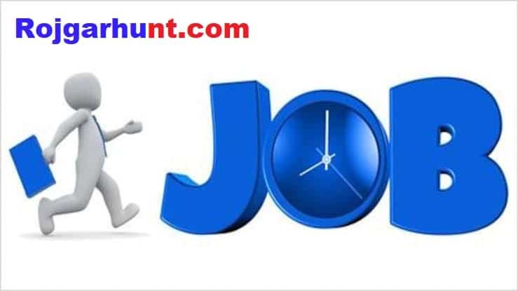 Fresher Jobs Delhi 11782 Job Vacancies & Openings for Freshers