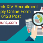 IBPS Clerk XIV Recruitment 2024 for 6128 Post Jobs Apply Online